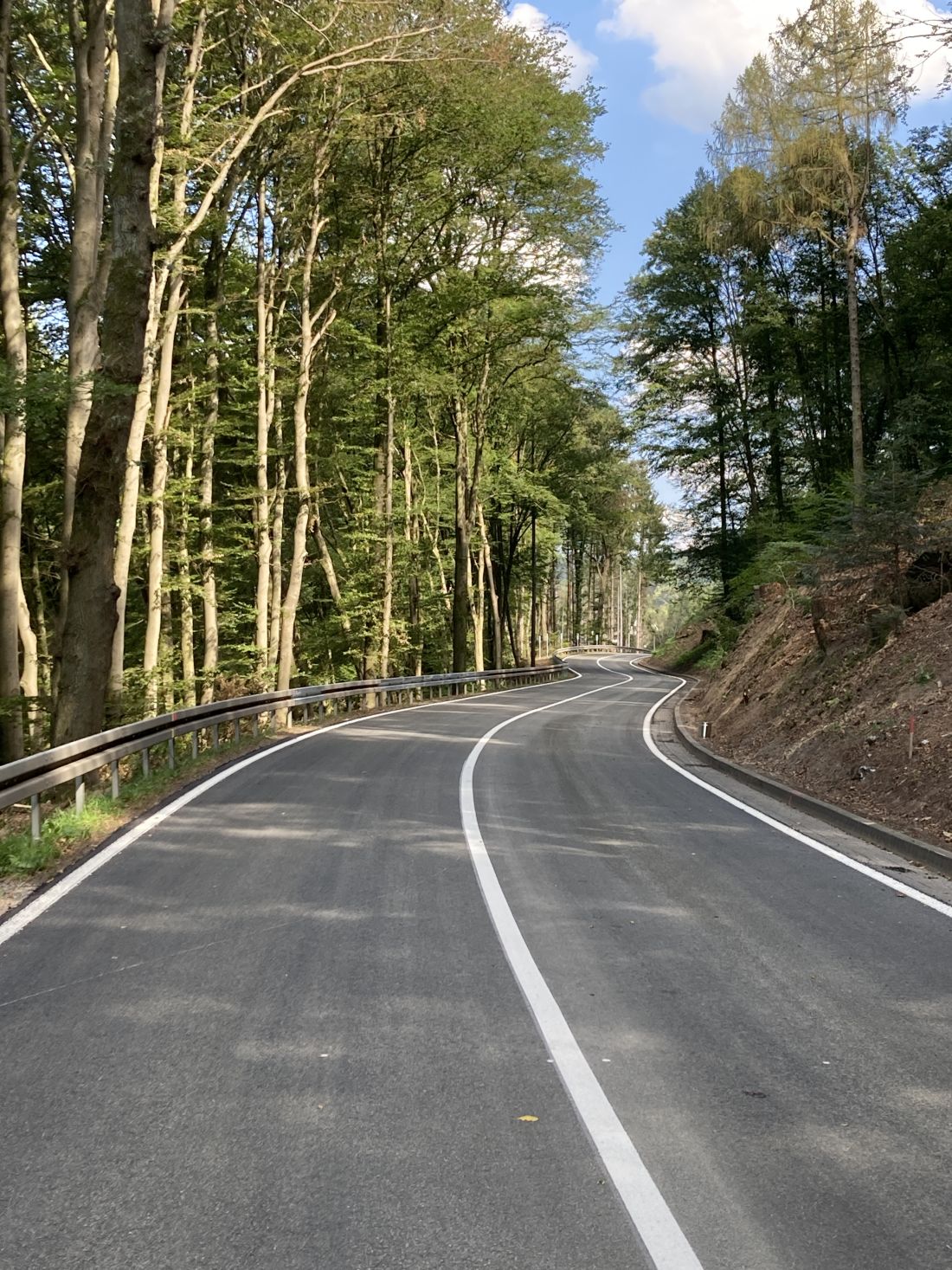 Fahrbahninstandsetzung KaltenbergErlenbach AG